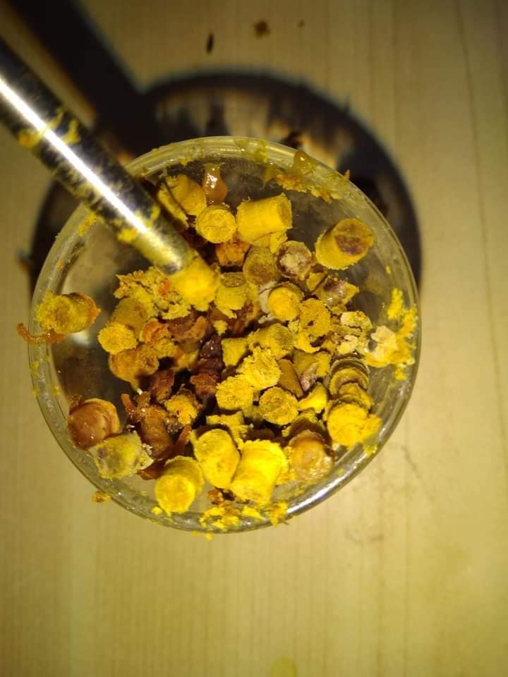 sveza cista perga vrelo med danijel babusnica